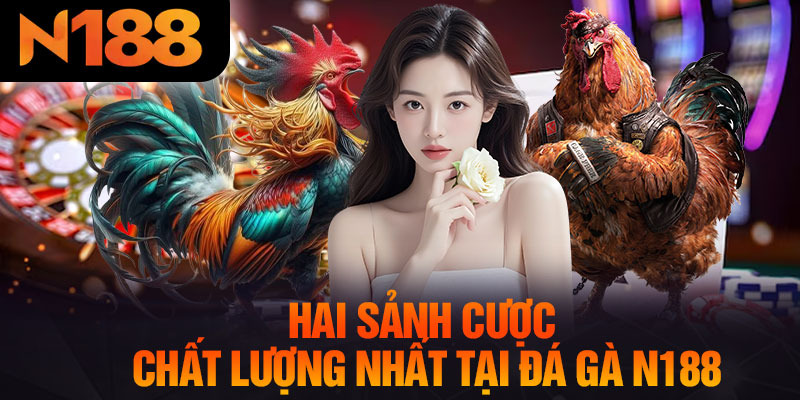 Hai Sảnh Cược Chất Lượng Nhất Tại Đá Gà N188