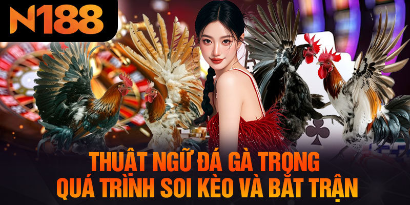 Thuật Ngữ Đá Gà Trong Quá Trình Soi Kèo Và Bắt Trận