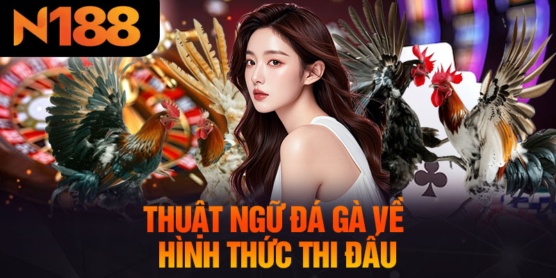 Thuật Ngữ Đá Gà Về Hình Thức Thi Đấu